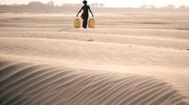 virendra singh drought, virendra singh yagya comment, bjp mp yagya, bjp mp yagya comment, india news, lok sabha yagya comment, latest news