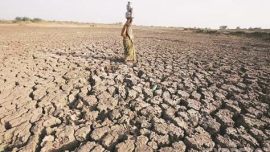 Pune palkhi procession, pune, pune news, pune drought, drought in pune, warkaris, pune warkaris, pune water crisis, pune water problem, indian express news