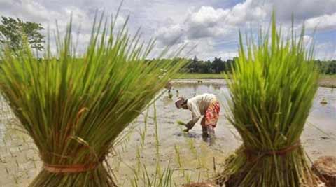 current agriculture news articles