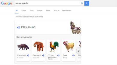 How to use Google animal sounds feature | Technology News,The Indian Express