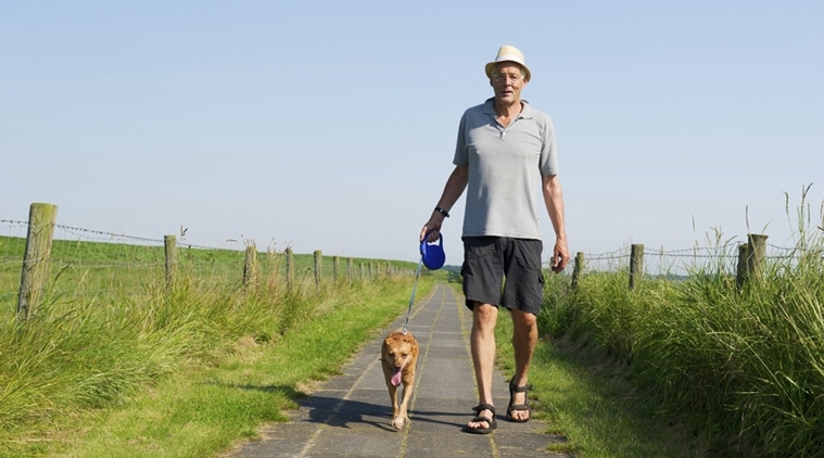 senior citizens, old adults, old adults fitness, health, old adults BMI, old adults dogs, dogs, Lifestyle