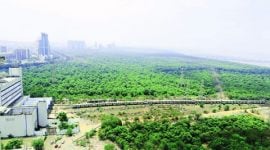 Harbour Line, Harbour Line trains, trains, mumbai Harbour Line, Central Railways, indian railways, mumbai trains, mumbai news