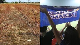 marathwada, IPL, drought, waterless marathwada, marathwada drought, maharashtra, bombay high court, bombay HC, Indian Premier League, water crisis, water problem, water problem in maharashtra, water problem in marathwada, indian express editorial, indian express