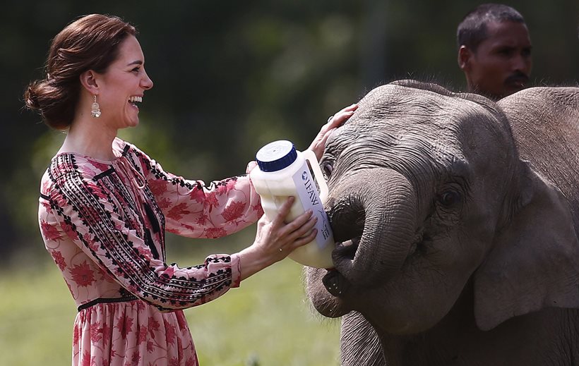 kate middleton in india, kate middleton skirt, times of india kate middleton, prince william, prince william and kate middleton, kate middleton height, kate middleton india visit