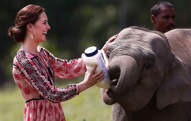 kate middleton in india, kate middleton skirt, times of india kate middleton, prince william, prince william and kate middleton, kate middleton height, kate middleton india visit