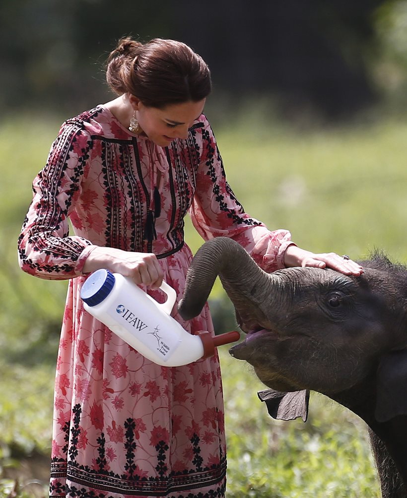 kate middleton in india, kate middleton skirt, times of india kate middleton, prince william, prince william and kate middleton, kate middleton height, kate middleton india visit