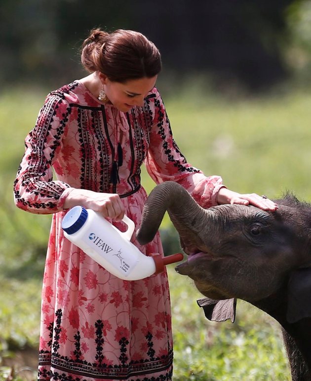 kate middleton in india, kate middleton skirt, times of india kate middleton, prince william, prince william and kate middleton, kate middleton height, kate middleton india visit