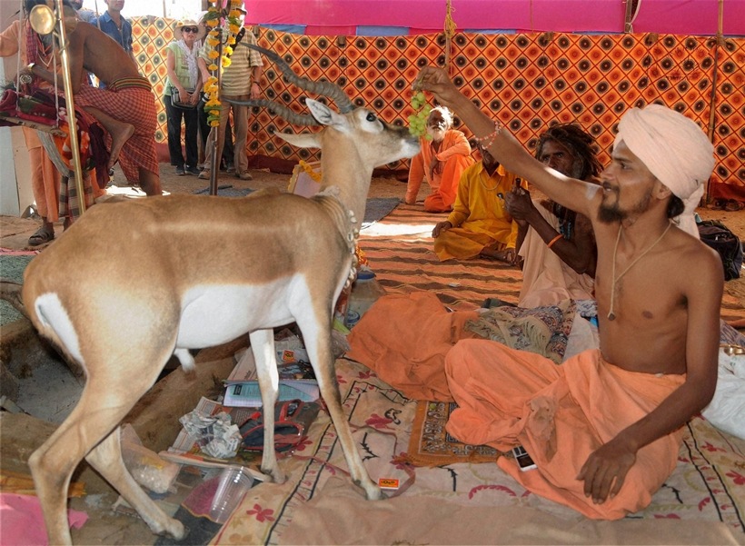 Kumbh, Ujjain, Kumbh mela, Simhastha, Simhastha kumbh, Simhastha kumbh mela, Simhastha kumbh mela in Ujjain, Kumbh in Ujjain, Lord Mahakaleshwar, Madhya Pradesh, Madhya Pradesh Chief Minister Shivraj Singh Chouhan, Shivraj Singh Chouhan, Kumbh mela picture gallery, kumbh news, india news