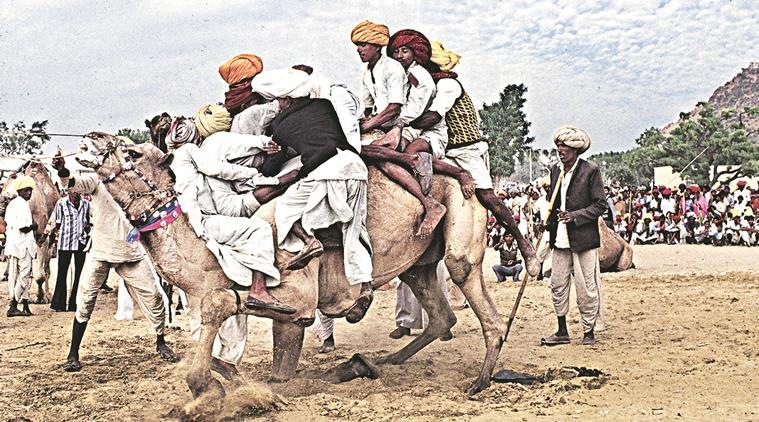 Ladu Oonth759