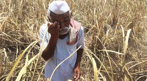 maharashtra, marathwada, latur, maharashtra drought, latur water crisis, marathwada drought, maharashtra sugarcane, sugarcane farming maharashtra, maharashtra bjp, bjp shiv sena govt, maharashtra water crisis, india drought, india news, maharashtra news