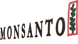 Mahyco Monsanto,Mahyco Monsanto royalties, Mahyco Monsanto royalties slashed, Bt cottonseed, Modi govt, NDA govt, Modi, UPA, UPA govt, UPA govt Vodafone, India news, India taxes, Indian express