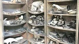 national museum fire, delhi museum fire, delhi natural history museum fire, delhi news, india news, museum fire, india national museum fire, latest news