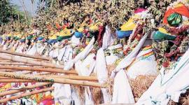 Ayyanar cult, research on Ayyanar cult, French photographer, pune news