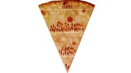 poverty-small no alt set