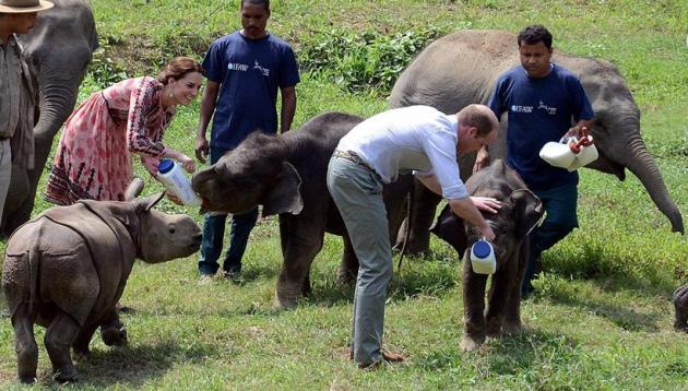 kate middleton, prince william, royal couple in india, kate and william in india, kate in india, william in india, kate in delhi, william in delhi, kate william, duke and duchess in india