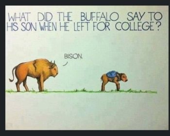 25 times the Internet was SO punny! | Trending Gallery News,The Indian Express 25 times the Internet was SO punny! | Trending Gallery News,The Indian Express