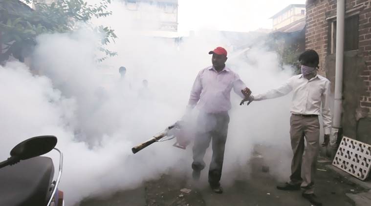 As per the report, last year, the number of malaria cases (provisional) reported in the city was 114. In 2016 and 2015, the number of cases was 157 and 152 respectively.