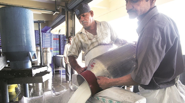 pune dairies, private dairies in pune, maharashtra dairies, milk production, pune milk production, drought in maharashtra, waterless in marathwada, indian express pune