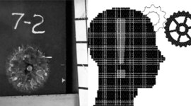 David Brin, scientist, CMF, Composite Metal Foams, North Carolina State University, Afsaneh Rabiei, Vaughan Bell, elephant, zoo, zoo animal, science news