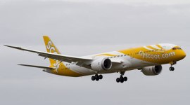 Scoot, scoot airlines, singapore scoot airlines, flyscoot, scoot india, scoot india flights, scoot indian market, singapore scoot indian flight, india domestic flights, scoot india domestic flights, india news, business news, latest news