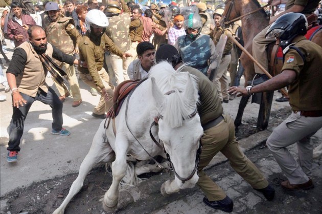 shaktiman, shaktiman horse, shaktiman horse death, shaktiman dead, police horse shaktiman, shaktiman harish rawat, harish rawat shaktiman, shaktiman latest