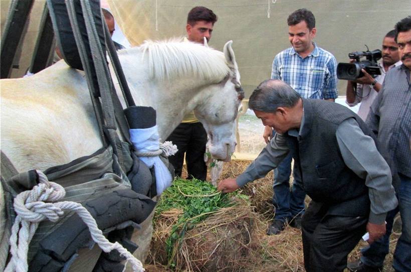 Shaktiman dies, Rawat pays tribute Picture Gallery Others News, The