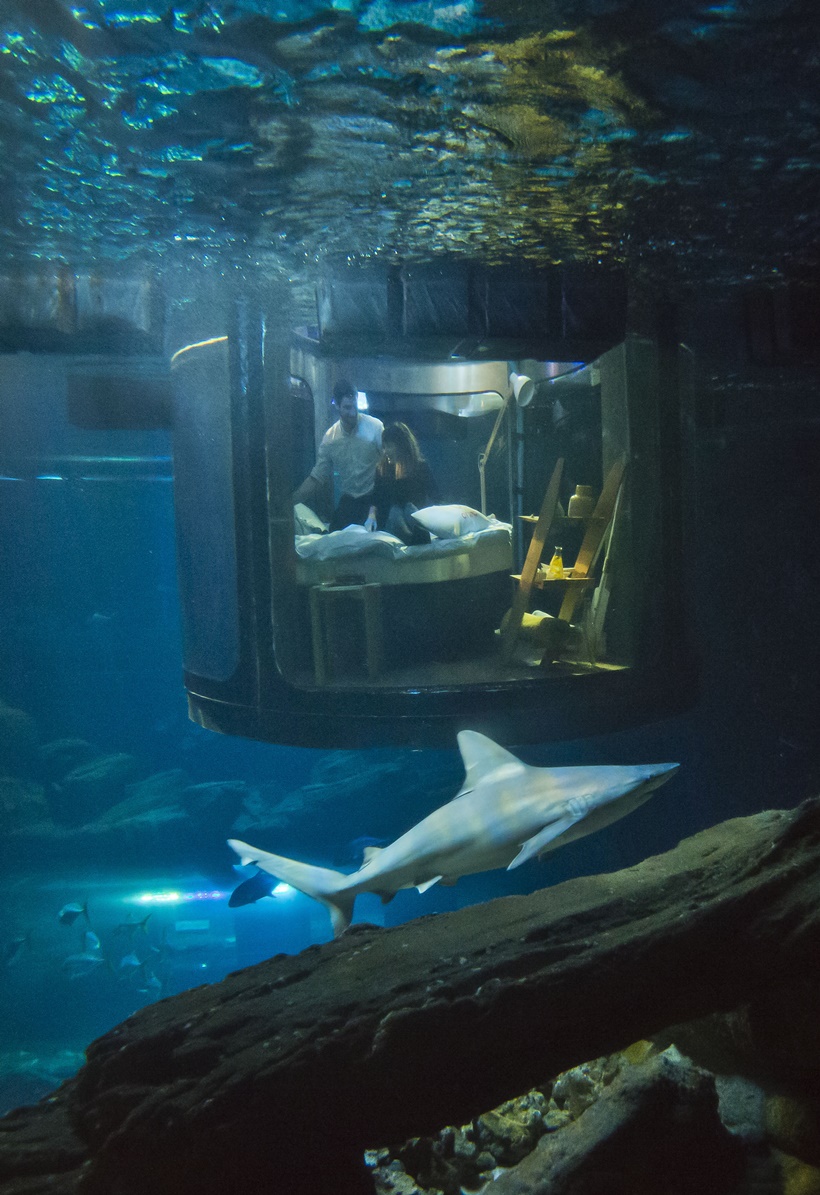 Sleeping with sharks in Paris
