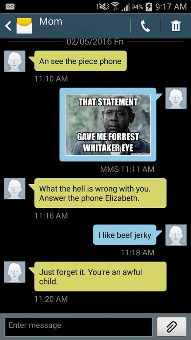 texts from my mom, liz hammett, internet memes, funny texts, hilarious posts