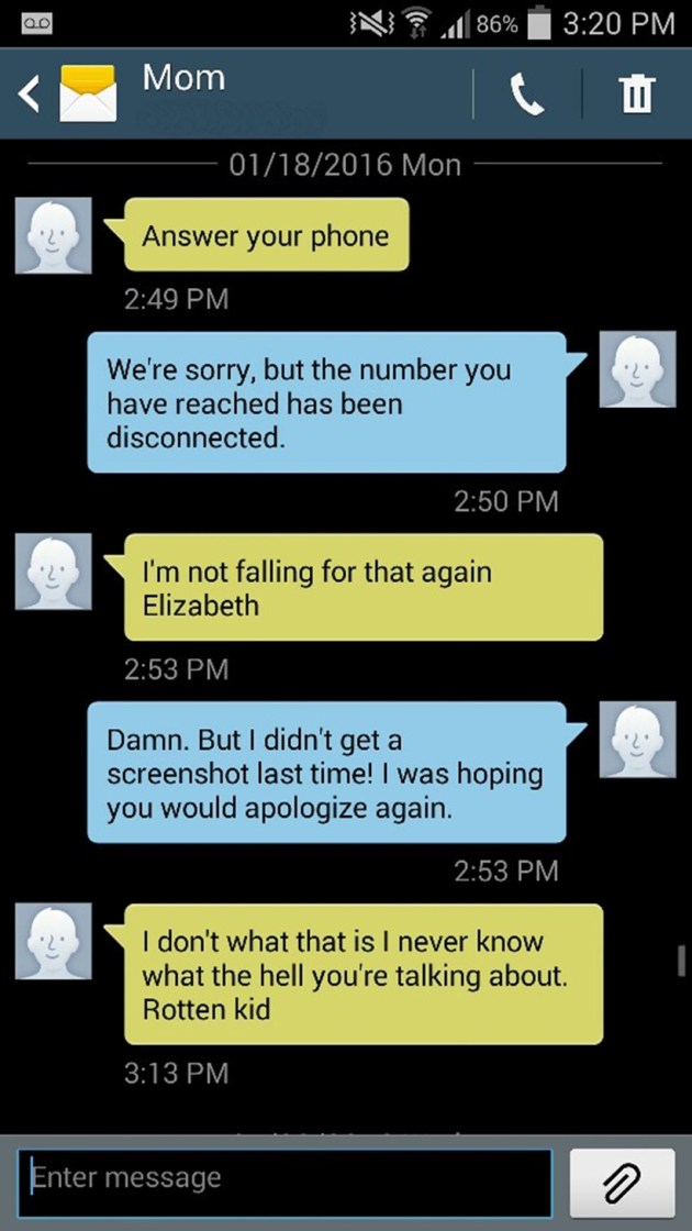 texts from my mom, liz hammett, internet memes, funny texts, hilarious posts