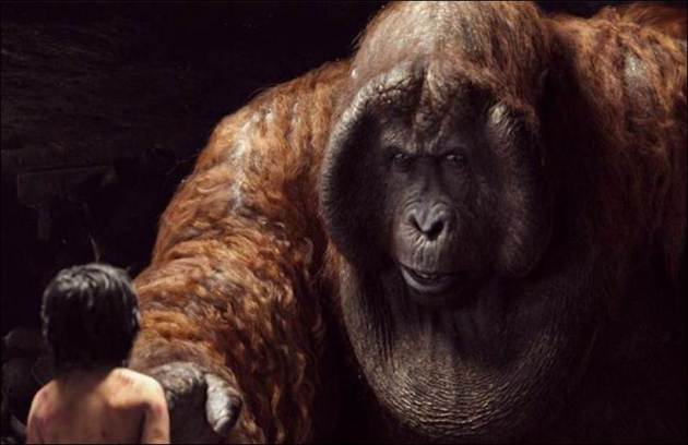 The Jungle Book, The Jungle Book Collections, The Jungle Book Money, The Jungle Book Earnings, The Jungle Book Box Office Collections, The Jungle Book Day one Collections, The Jungle Book Opening day collections, The Jungle Book Friday Collections, The Jungle Book india Collections, The Jungle Book Pics, The Jungle Book movie pics, The Jungle Book Collection in pics