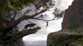 The Jungle Book, The Jungle Book Collections, The Jungle Book Money, The Jungle Book Earnings, The Jungle Book Box Office Collections, The Jungle Book Day one Collections, The Jungle Book Opening day collections, The Jungle Book Friday Collections, The Jungle Book india Collections, The Jungle Book Pics, The Jungle Book movie pics, The Jungle Book Collection in pics
