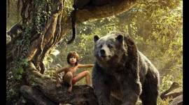 the jungle book, neel sethi, the jungle book box office collections, the jungle book collections, the jungle book india collections, the jungle book india box office collections, the jungle book business, the jungle book india business, the jungle book news, the jungle book actor, the jungle book child actor, the jungle book neel sethi, entertainment news