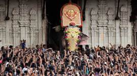 Pooram Festival, Thrissur festival, elephant parade, Kerala festival, High Court order, security concerns, India news