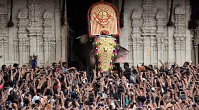kerala, kerala festival, kerala temples, Thrissur, Thrissur festival, Pooram festival, Thrissur Pooram festival, elephants, elephants torture, animal torture, festival animal torture, Thrissur Pooram festival animal torture, kerala festival animal torture, india news