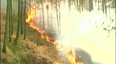 Uttarakhand Forest Fires Claim 5 Lives; NDRF Forces Deployed To Control ...