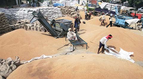 Punjab farmers, Punjab wheat procurement crisis, cash credit limit (ccl), wheat procurement crisis,sad-bjp government, punjab assembly elections 2017, nationalised banks, punjab farmers, indian express
