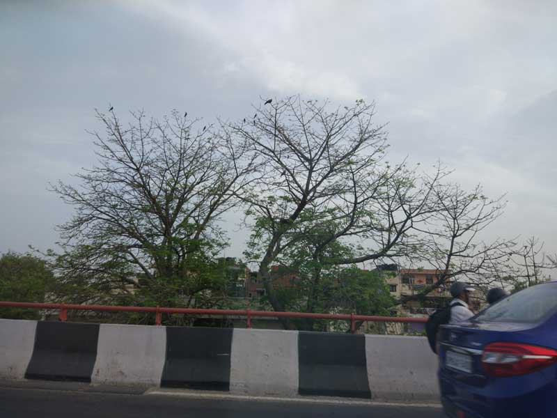 Xiaomi, Xiaomi Mi5, Mi 5, Xiaomi, Xiaomi Mi 5, Mi 5 review, Xiaomi Mi 5 price, Xiaomi Mi 5 review, Mi 5 vs OnePlus 2, Mi 5 specs, Xiaomi Mi 5 features, Mi 5 specs, Smartphones, mobiles, technology, technology news