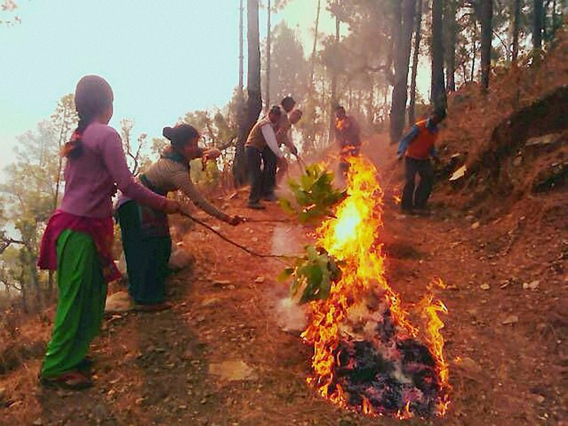 fire, forest fire, uttarakhand, uttarakhand fire, uttarakhand forest fire, himachal fire, himachal forest fire, forest fire news, forest fire in uttarakhand, forest fire images
