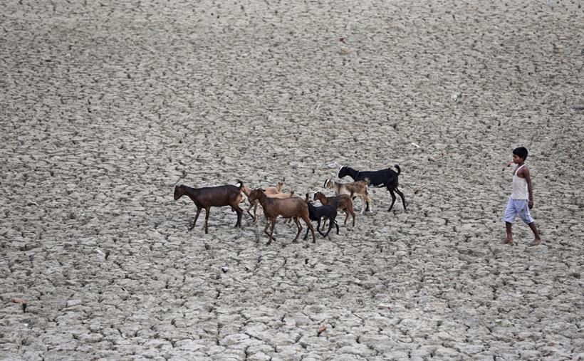 ujjain Kumbh Mela, kumbh Mela, Kumbh Mela in ujjain, Drought Conditions in India, Heat waves in india, BaracK Obama, Prophet Mohammed, Meeraj-un-Nabi, Hazratbal shrine, Top Frames, Indian Express, best photos, best pics