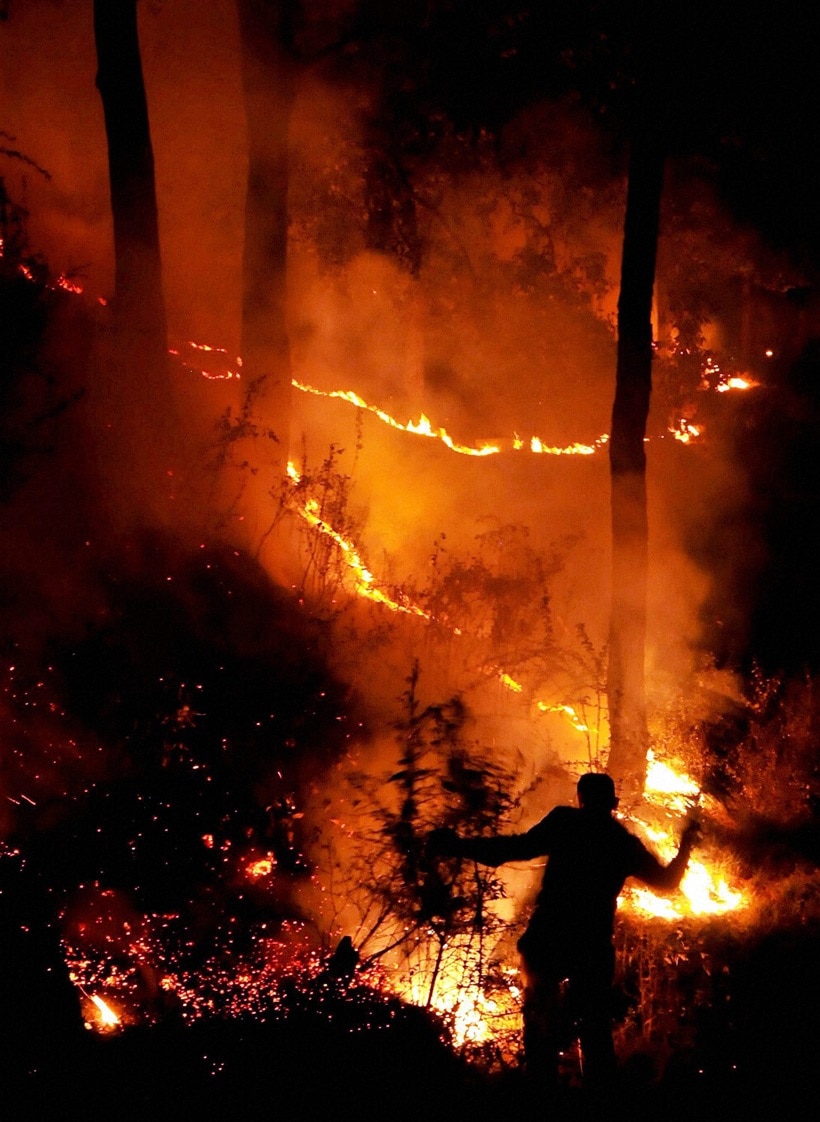 fire, forest fire, uttarakhand, uttarakhand fire, uttarakhand forest fire, himachal fire, himachal forest fire, forest fire news, forest fire in uttarakhand, forest fire images