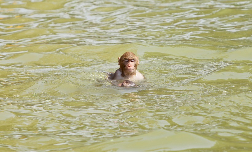 Heatwave, Temperature, India temperature, India weather, temperature in India, India heat, India heatwave, Summer, Intense heatwave, Sunstroke, Delhi temperature, Delhi heatwave, Jammu temparature, Ahmadabad temparature, India temeperature, temperature in india, heatwave photos