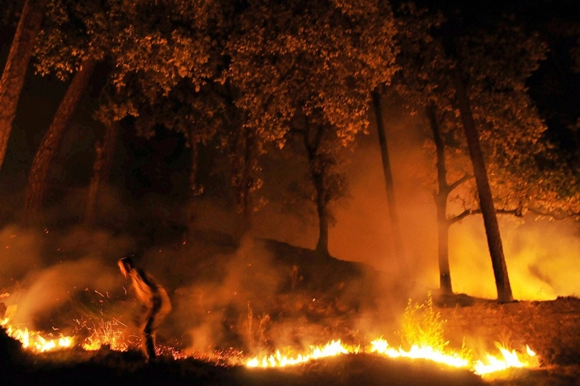 fire, forest fire, uttarakhand, uttarakhand fire, uttarakhand forest fire, himachal fire, himachal forest fire, forest fire news, forest fire in uttarakhand, forest fire images