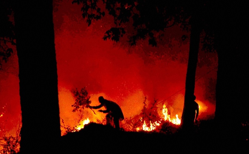 fire, forest fire, uttarakhand, uttarakhand fire, uttarakhand forest fire, himachal fire, himachal forest fire, forest fire news, forest fire in uttarakhand, forest fire images