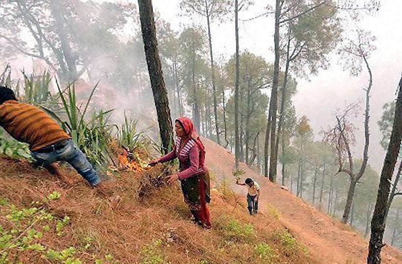 fire, forest fire, uttarakhand, uttarakhand fire, uttarakhand forest fire, himachal fire, himachal forest fire, forest fire news, forest fire in uttarakhand, forest fire images