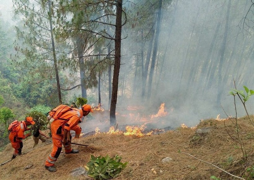 fire, forest fire, uttarakhand, uttarakhand fire, uttarakhand forest fire, himachal fire, himachal forest fire, forest fire news, forest fire in uttarakhand, forest fire images