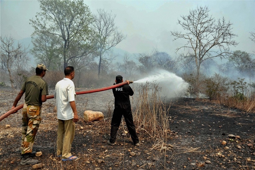 fire, forest fire, uttarakhand, uttarakhand fire, uttarakhand forest fire, himachal fire, himachal forest fire, forest fire news, forest fire in uttarakhand, forest fire images