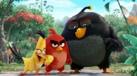 Angry Birds movie, Angry Birds movie review, Angry Birds review, Angry Birds, Angry Birds film, Angry Birds film review, Entertainment news