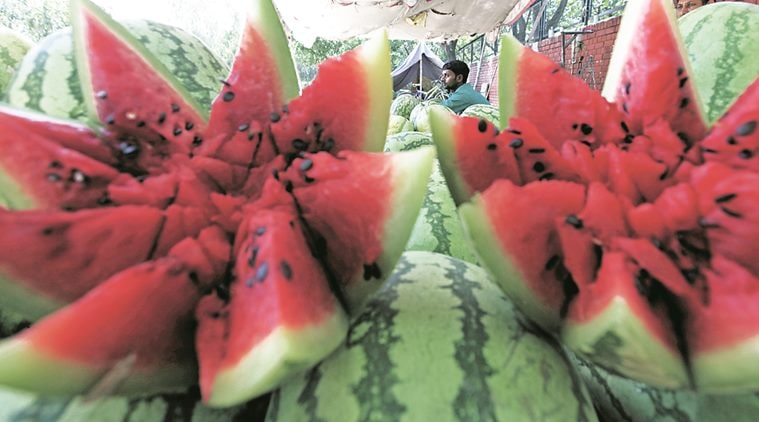 chandigarh fruit market, sector 26 market, artificial fruits, chandigarh artificial fruits, indian express chandigarh