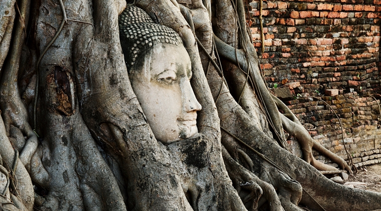 Ayutthaya historical park, thailand travel, UNESCO World Heritage Site, Siamese kingdom, unesco heritage travel
