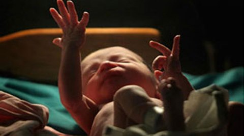 World Bank report says Pak’s infant mortality rate nearly double that of India
